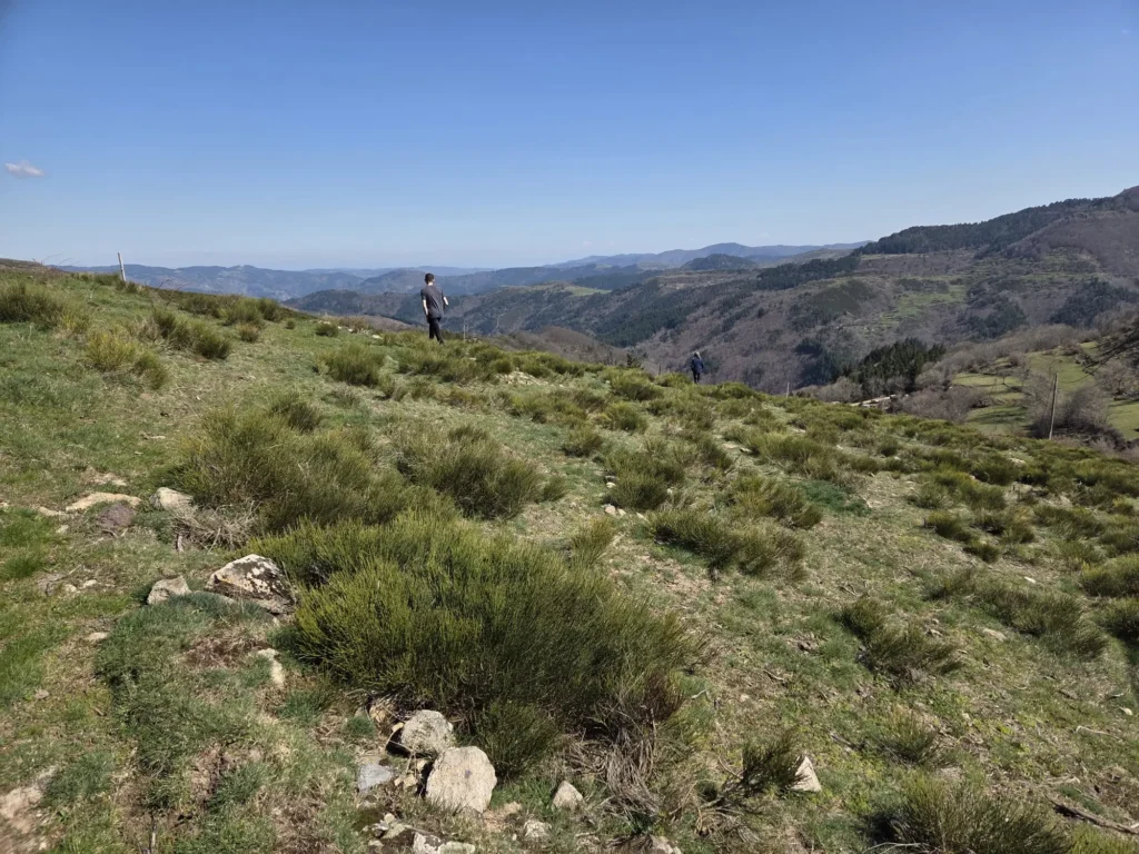 Plateau du mont mézenc, photo de la ferme Ducros, le boeuf sur le toit élevage de vache