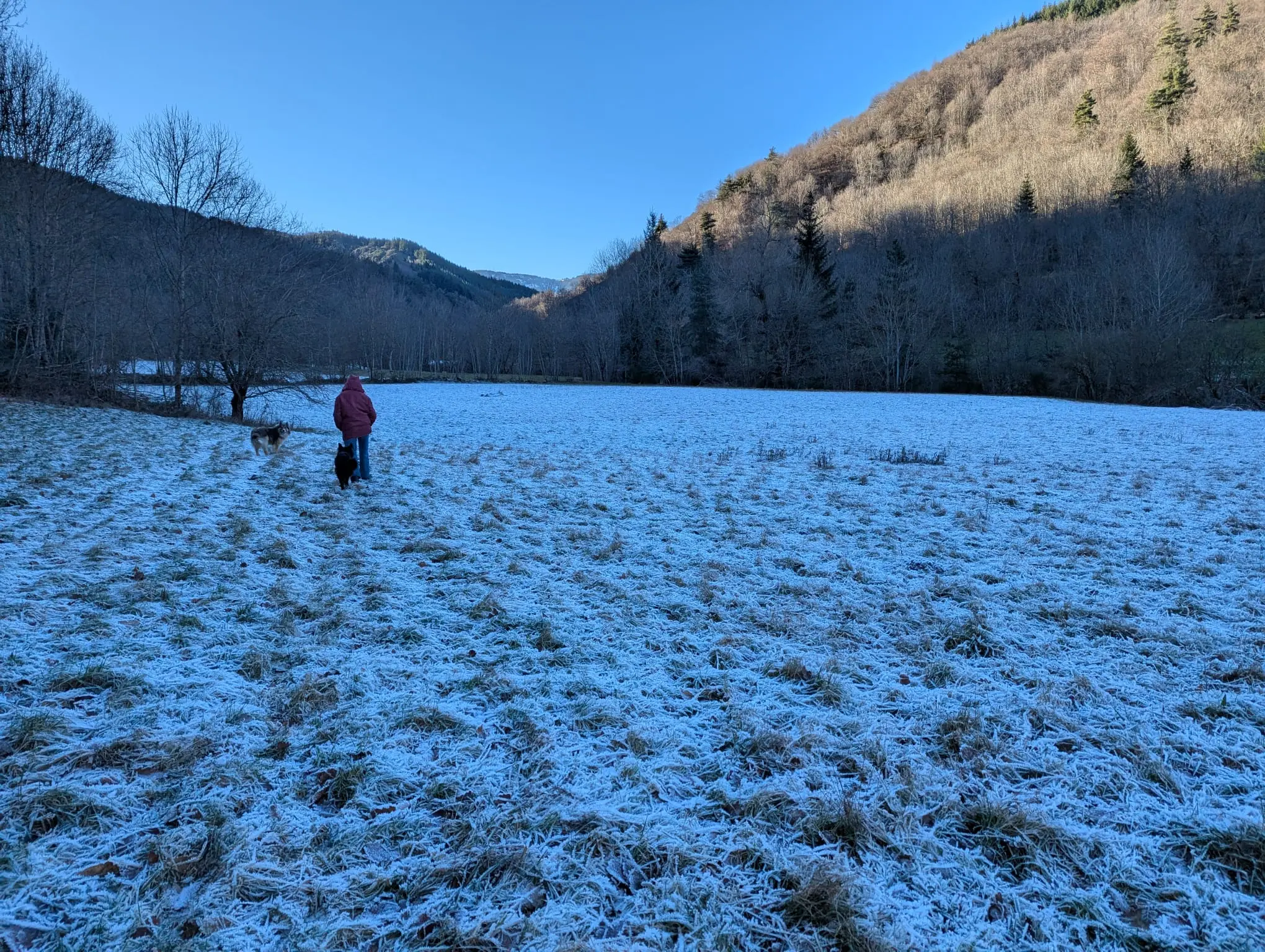 leboeufsurletoit_neige