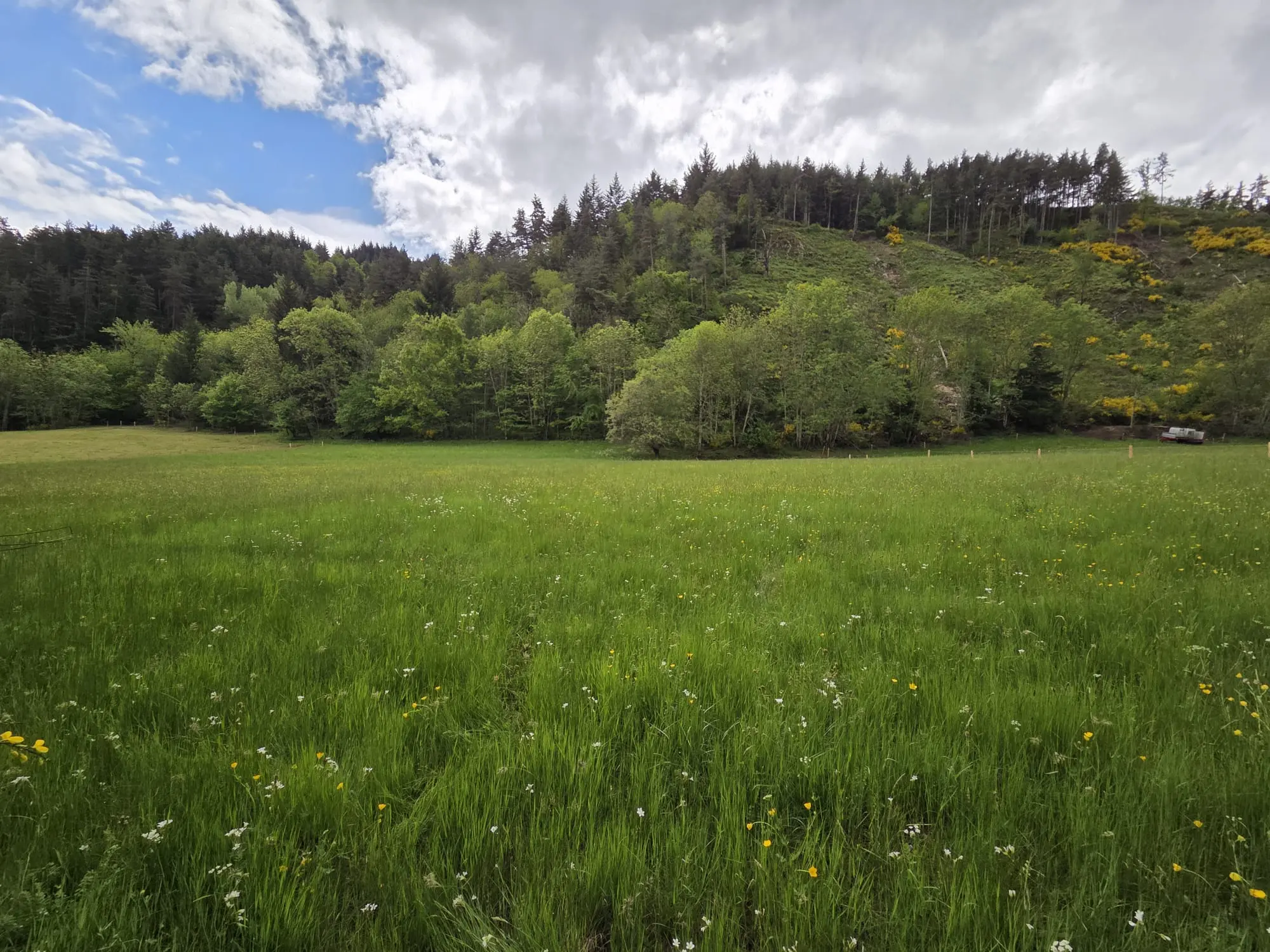 Plateau du mont mézenc