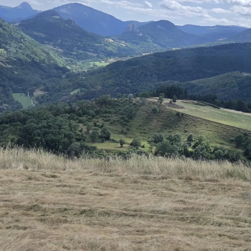 Plateau du mont mézenc